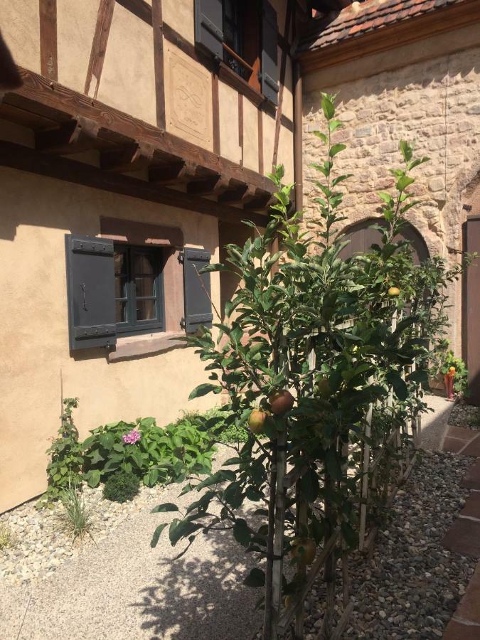 La Dependance D'elisa Holiday home *